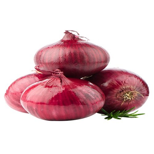 Onion
