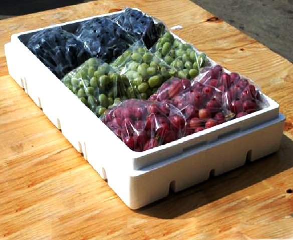 Polystyrene Packaging