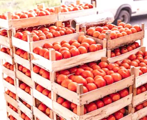 Wooden Crate for Tomato