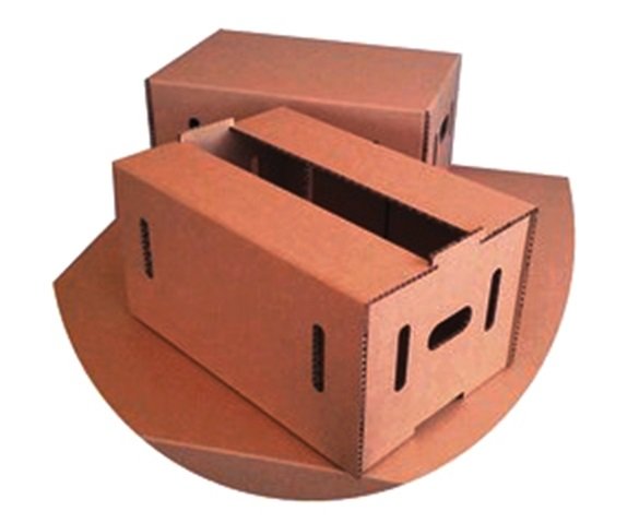 Corrugated Box