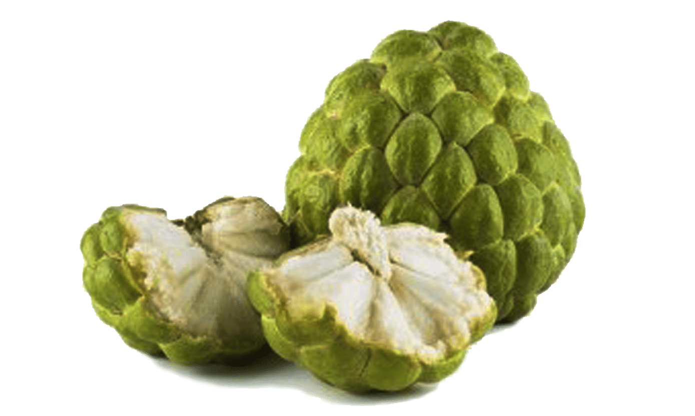 Custard Apple