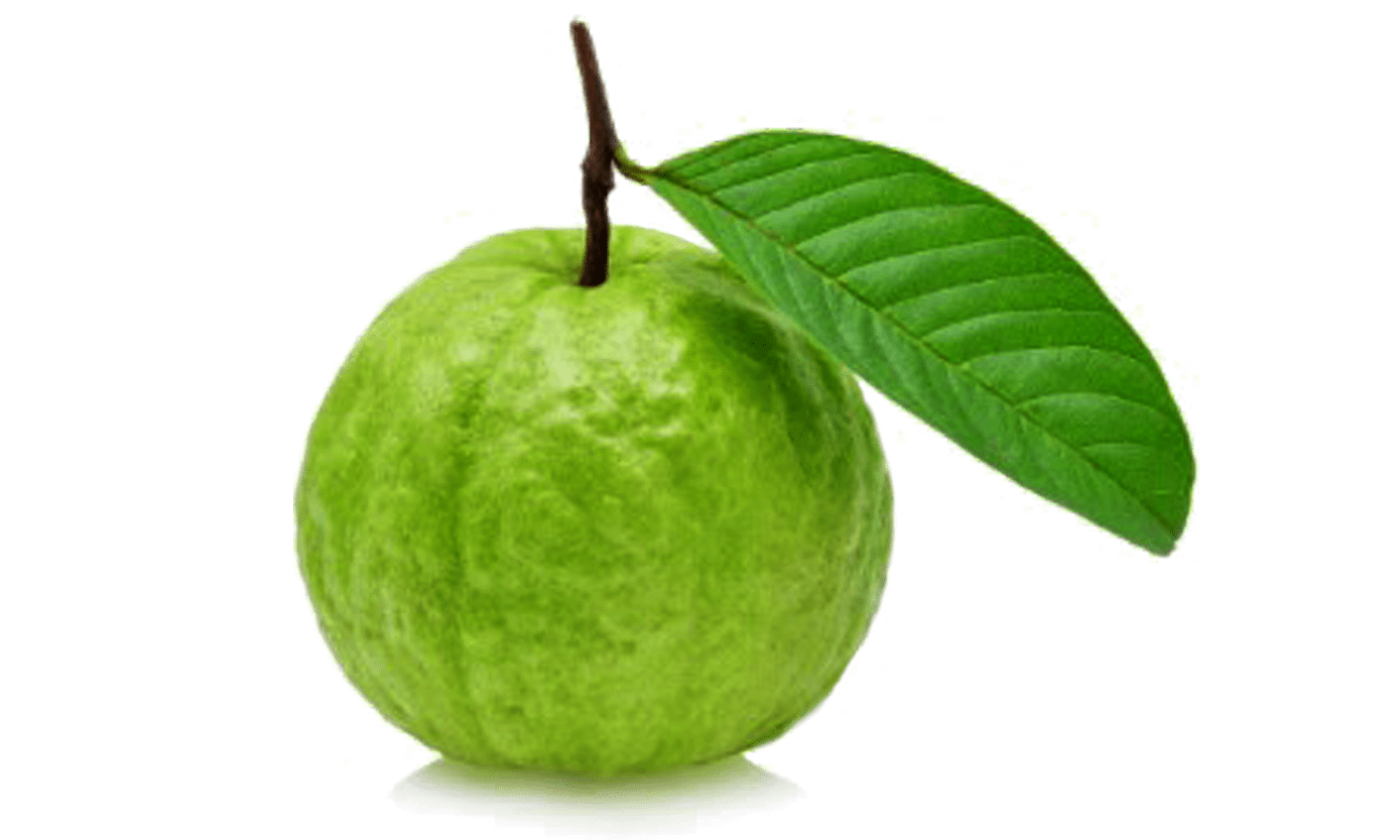 Guava