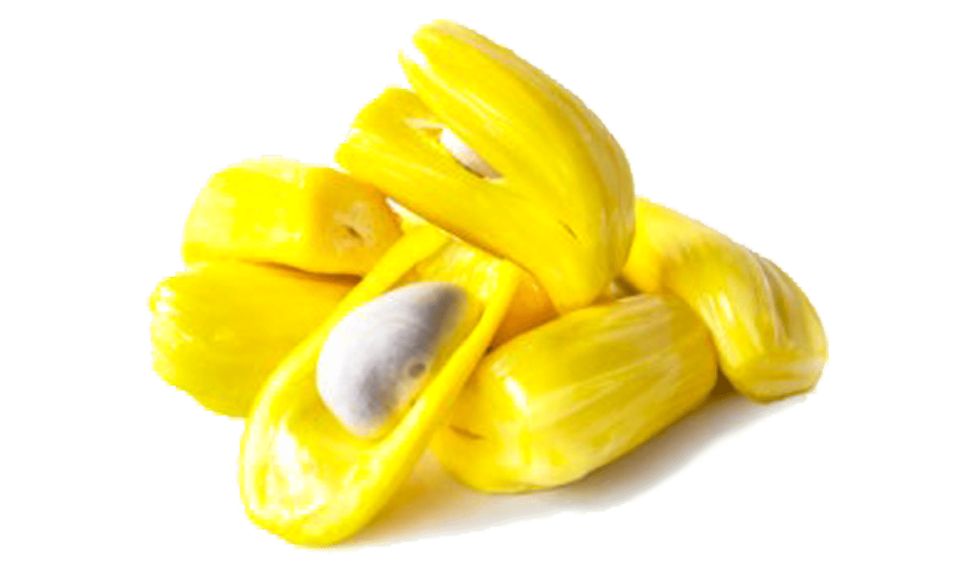 Jack Fruit