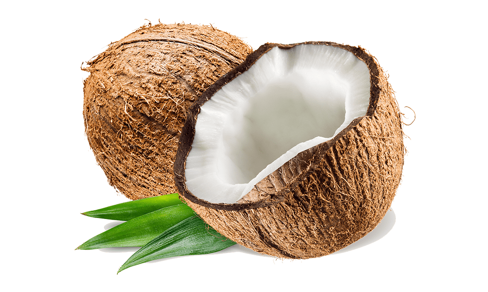 Fresh Coconut
