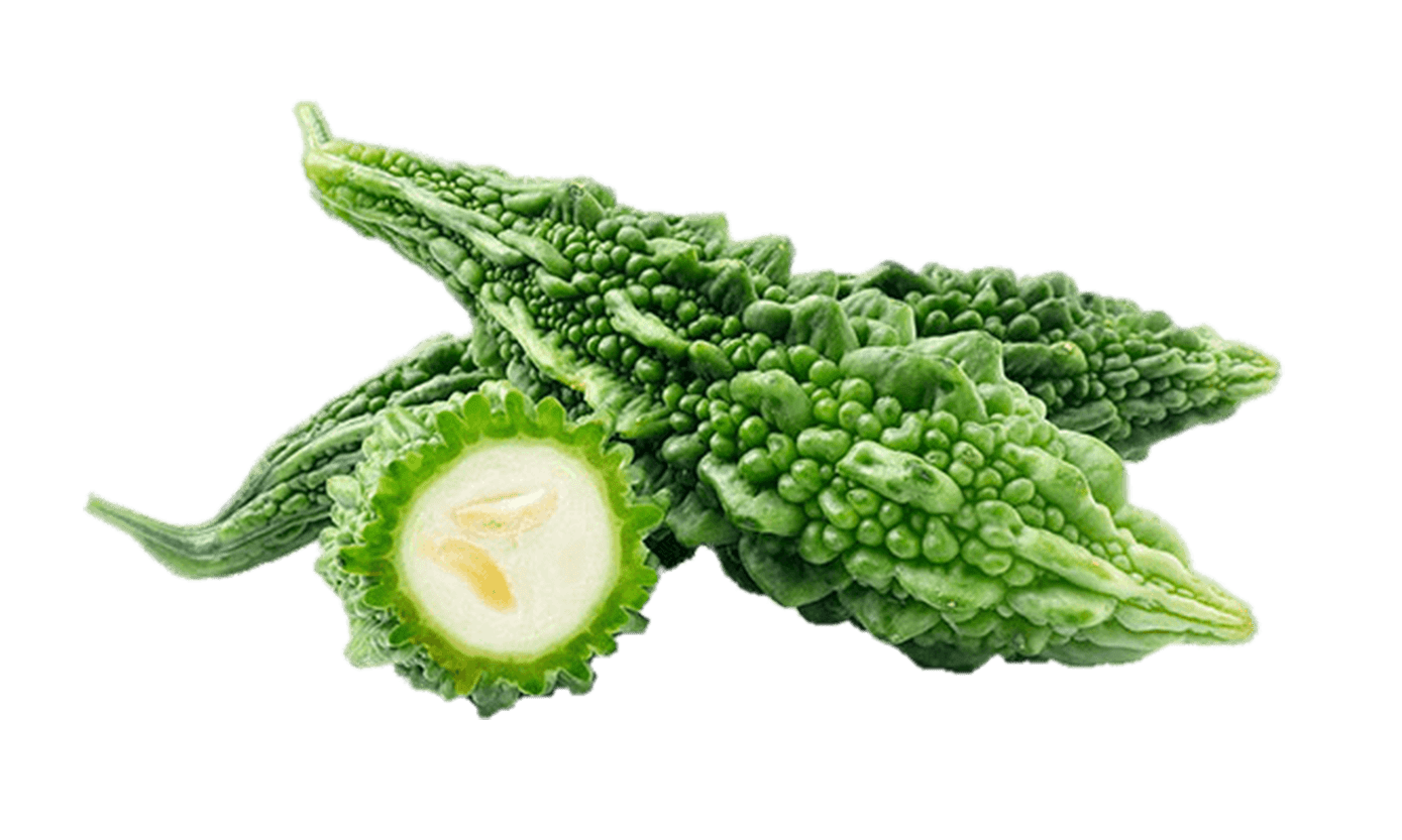 Bitter Gourd