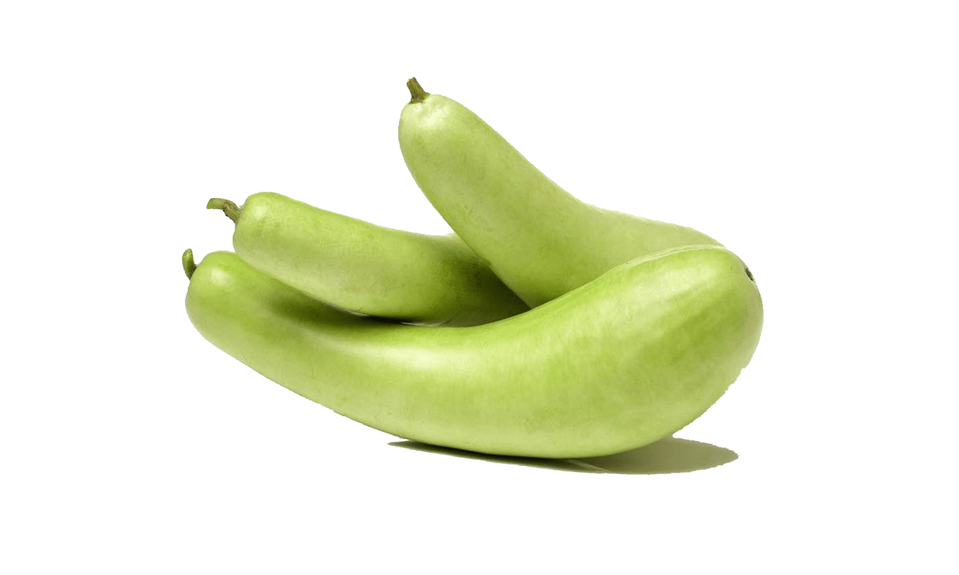 Bottle Gourd