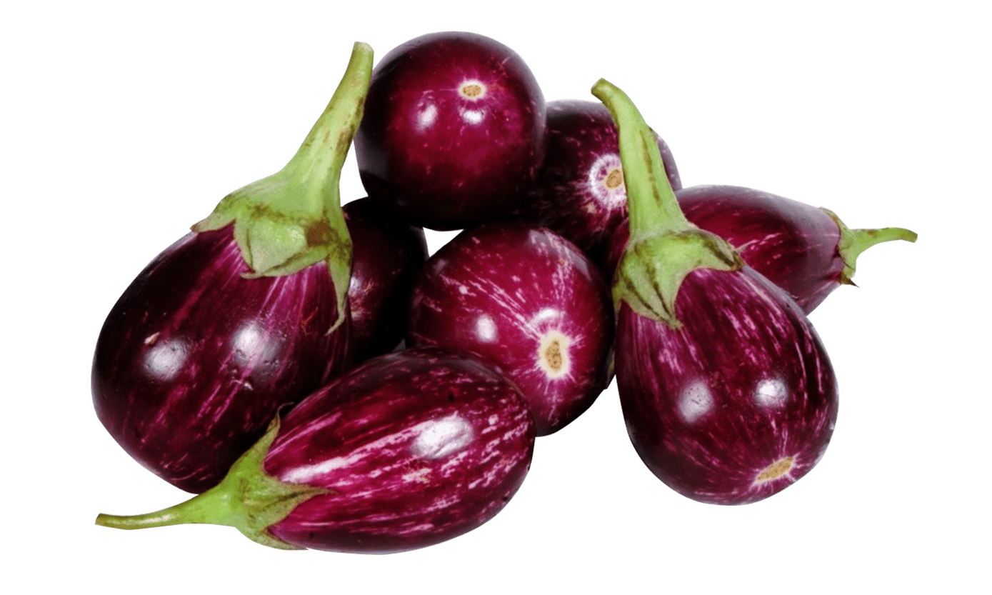 Brinjal