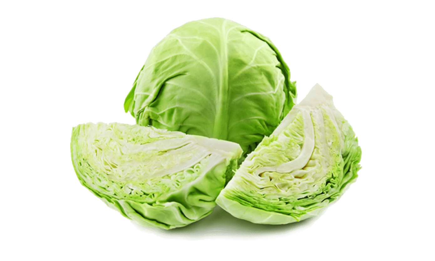 Cabbage