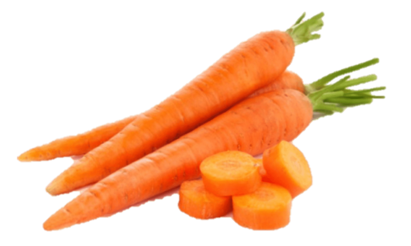 Carrot