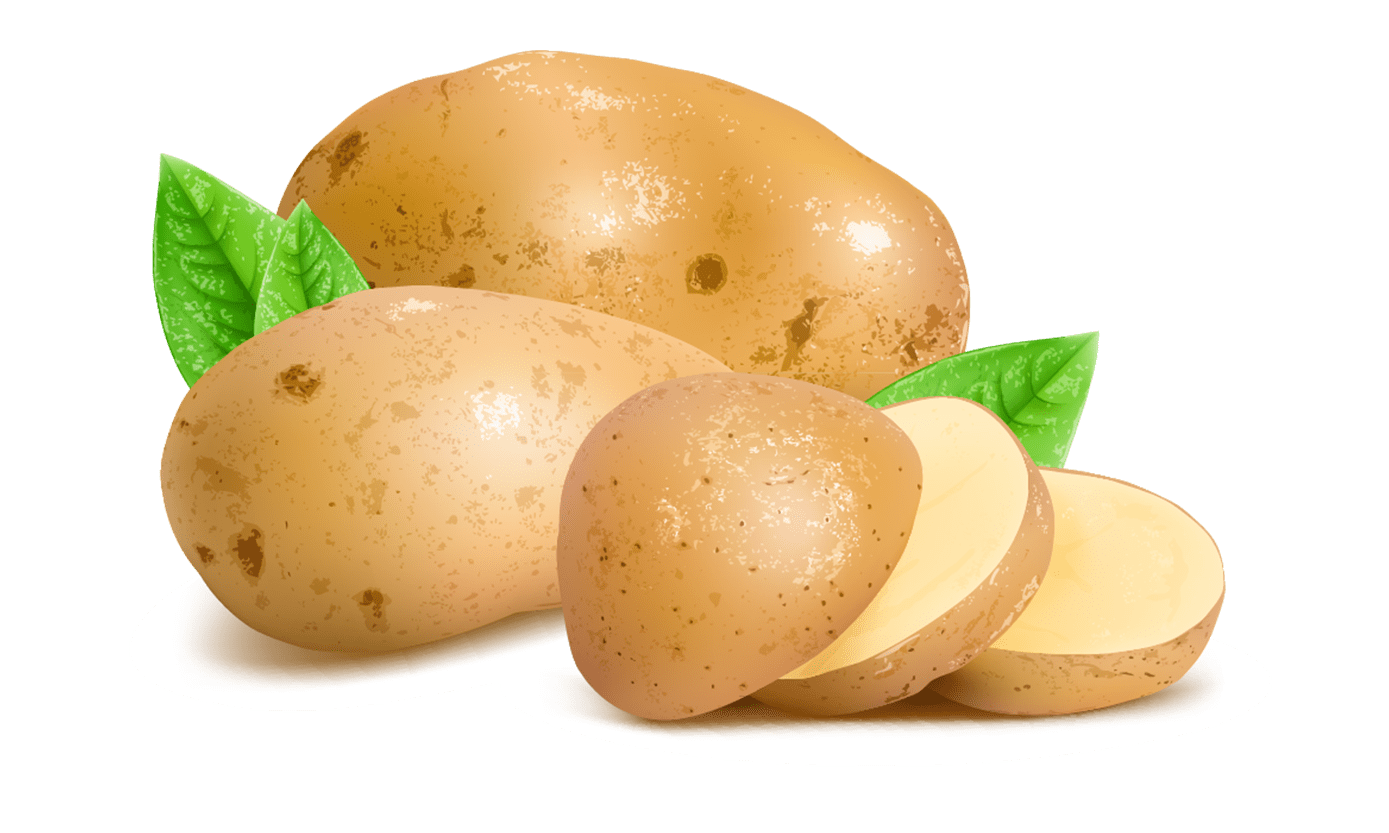 Potato