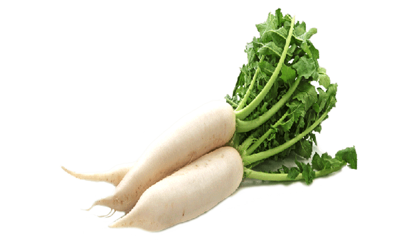 Radish