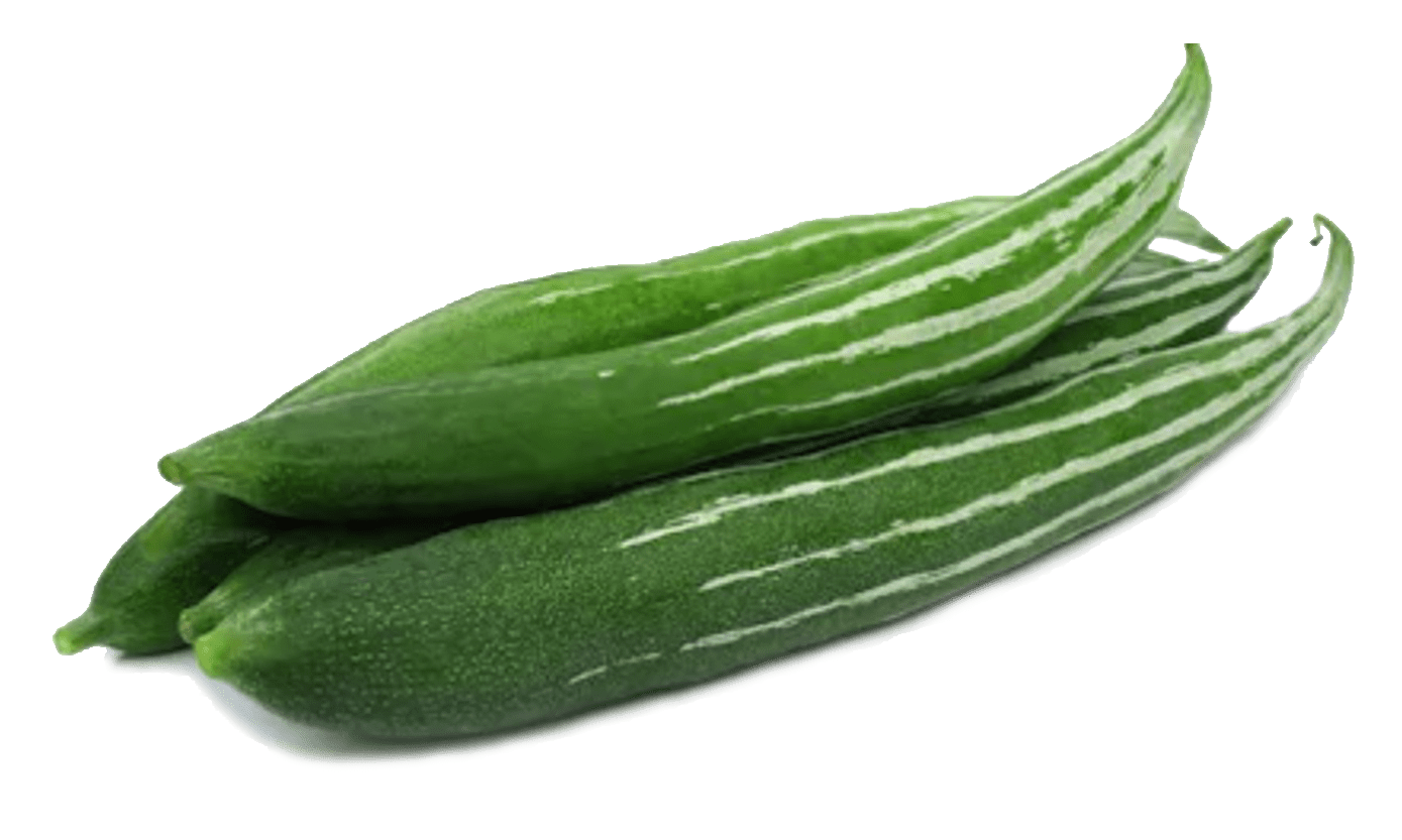 Snake Gourd