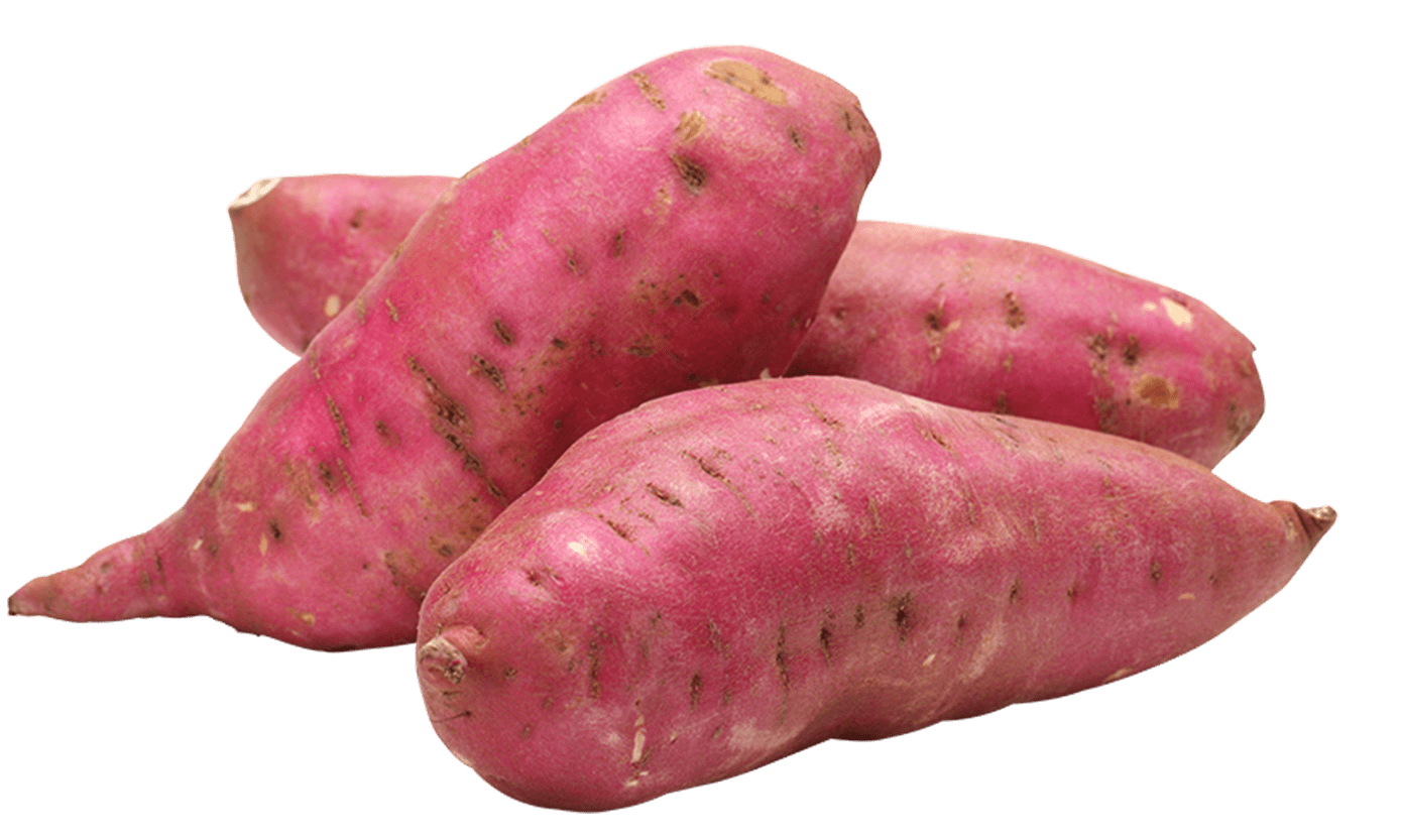 Sweet Potato